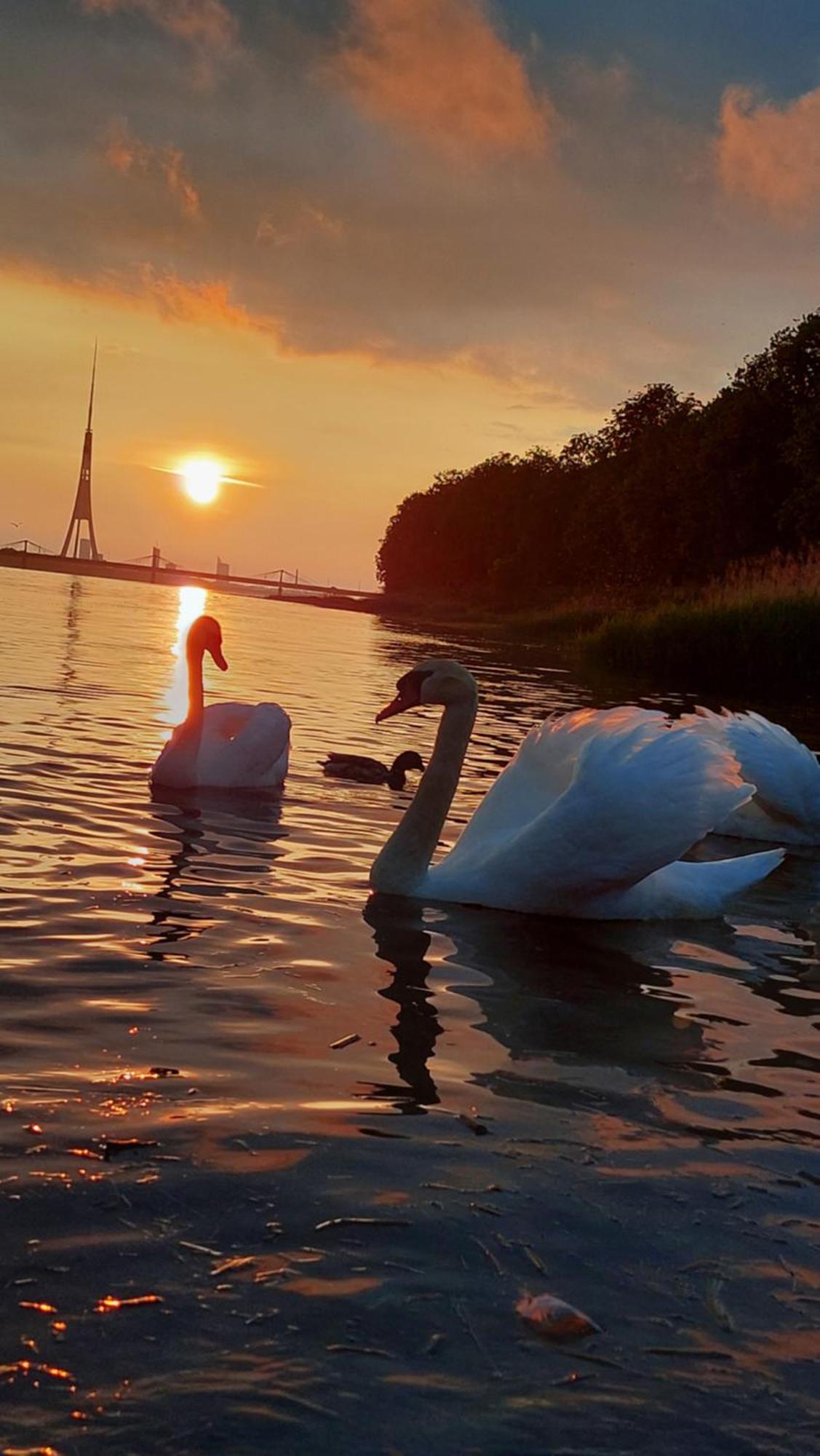 у реки Butas Riga